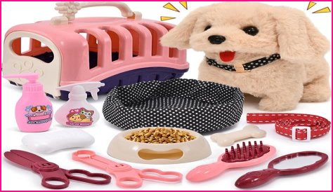 Best Toys for Pets Home Alone